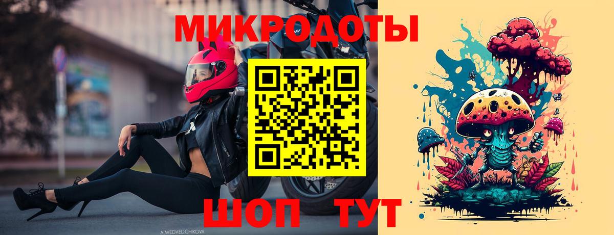 Псилоцибиновые грибы Psilocybine cubensis  Вход с VPN  Арзамас  Псилоцибиновые грибы прущие грибы 